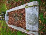 image of grave number 51209